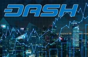 Проведены симуляции масштабирования экосистемы Dash